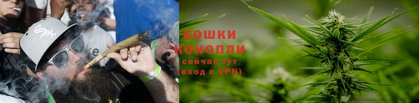 дживик Баксан