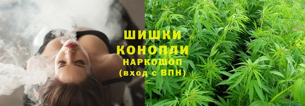 дживик Баксан